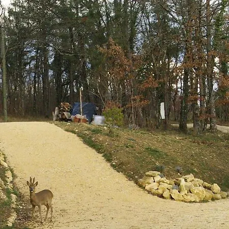 Au Calme Dans La Plus Belle Vallee De Dordogne Peyzac-le-Moustier